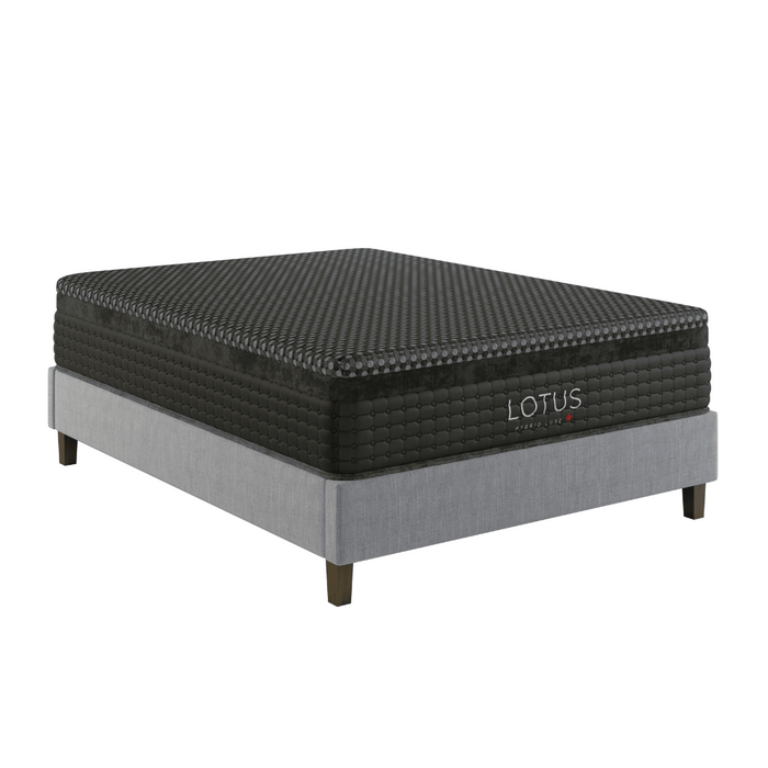 LOTUS Hybrid Luxe 2.0 Firm Mattress