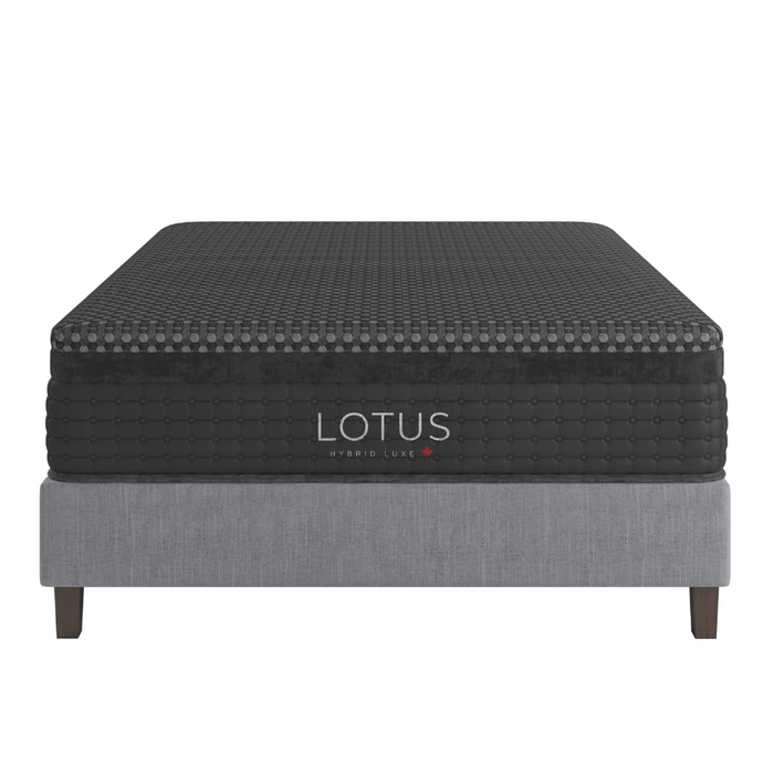 LOTUS Hybrid Luxe 2.0 Firm Mattress